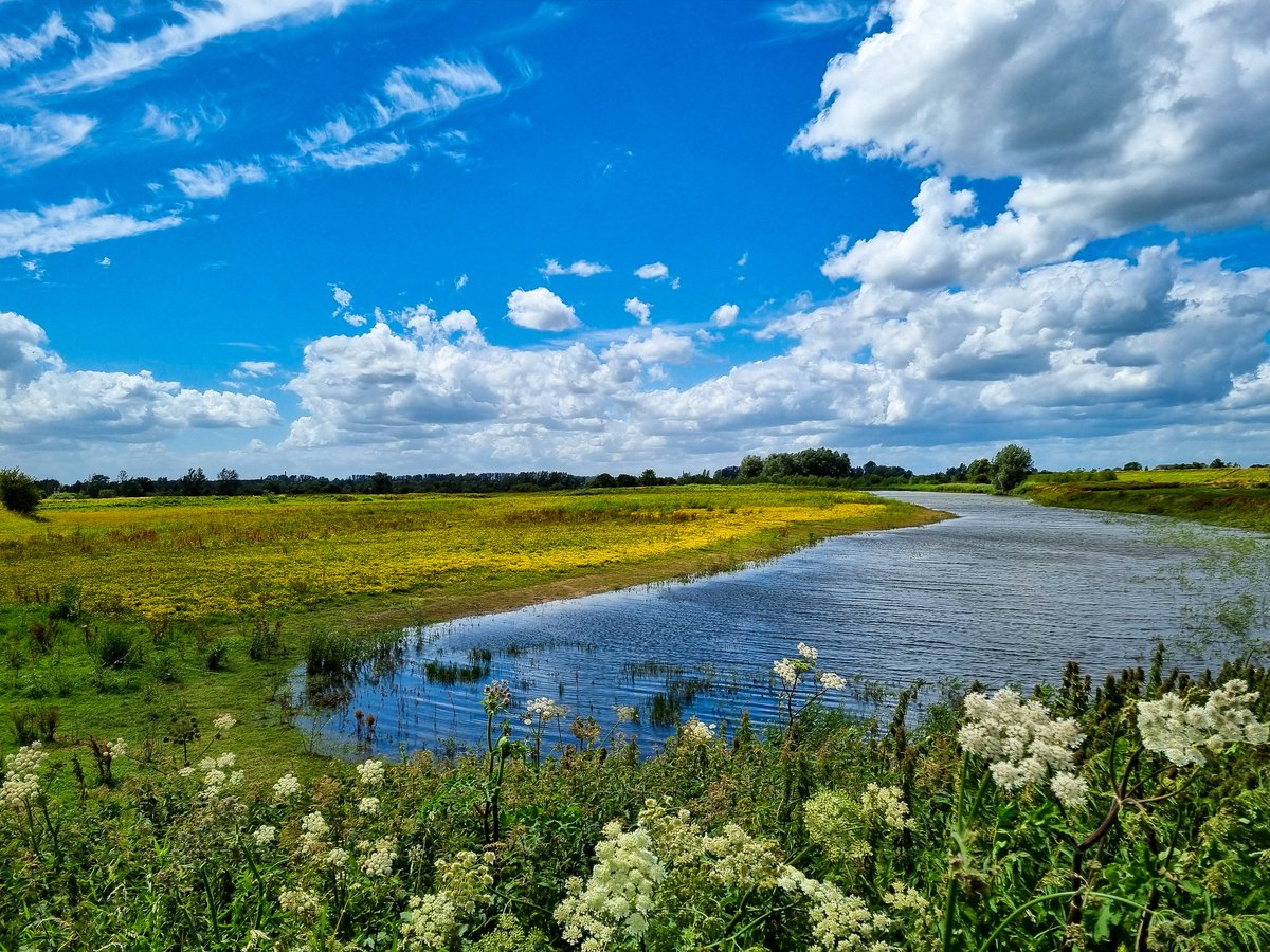 Nees van den Oosterkamp tweet media
