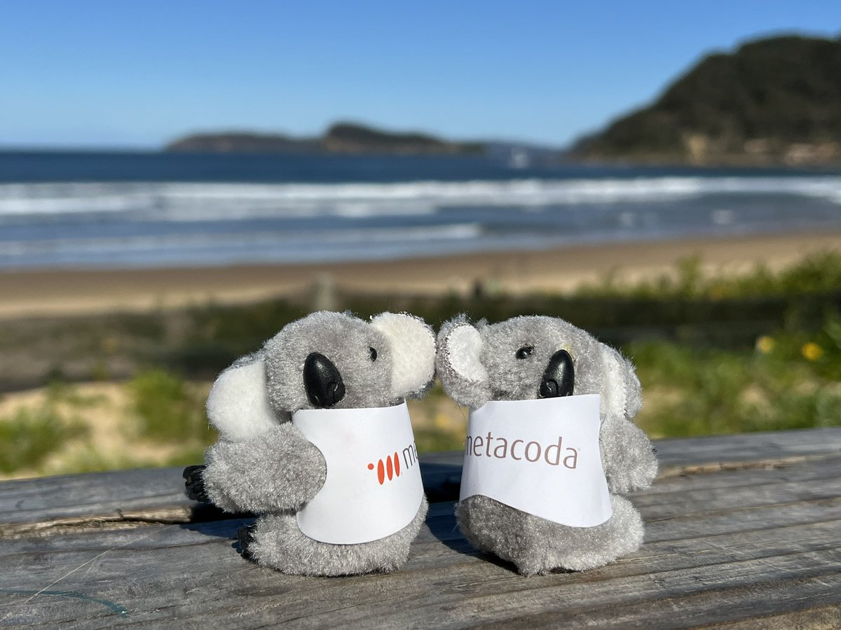 metacoda's tweet image. The @Metacoda koalas enjoying some Sunday beach time at Sydney Central Coast. They’re looking forward to #SASInnovateonTour Sydney this week.
#metacodakoala #metacoda #beach #beachtime #sunday #sundayfunday