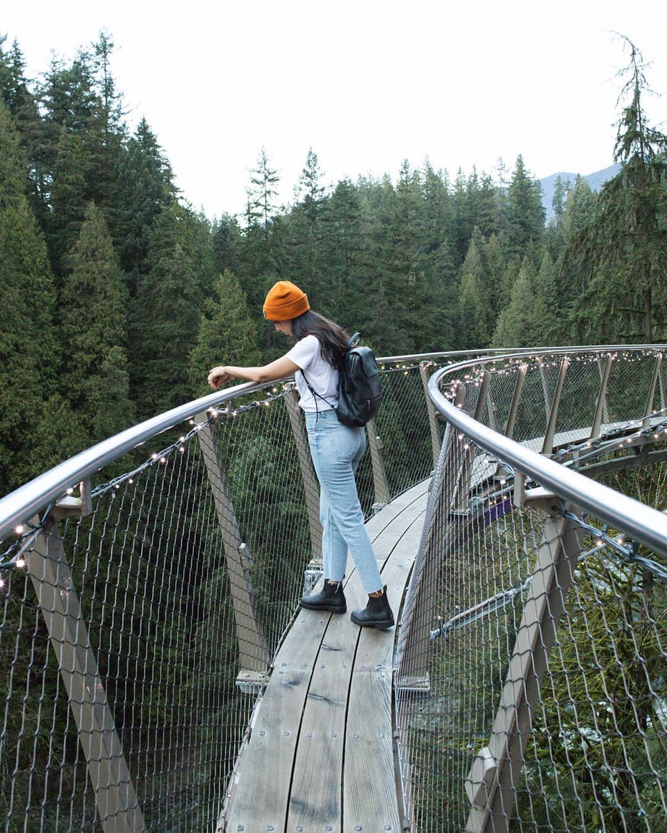 chasing bridges