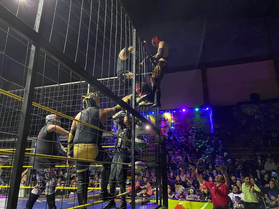 LaTijeraLucha's tweet photo. Arranca la primera batalla de #FaceToFaceEnJaula2 de #ProduccsSanchez con nueve jóvenes impetuosos y que se quieren comer el ring de un “bocado”, pero fue mayor la astucia de #BlackPardus, quien fue el primero en abandonar el enrejado dejando adentro a... https://t.co/bixJ7o3TpP