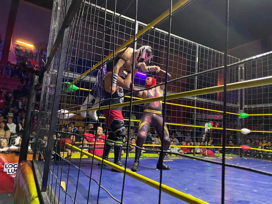 LaTijeraLucha's tweet photo. Arranca la primera batalla de #FaceToFaceEnJaula2 de #ProduccsSanchez con nueve jóvenes impetuosos y que se quieren comer el ring de un “bocado”, pero fue mayor la astucia de #BlackPardus, quien fue el primero en abandonar el enrejado dejando adentro a... https://t.co/bixJ7o3TpP