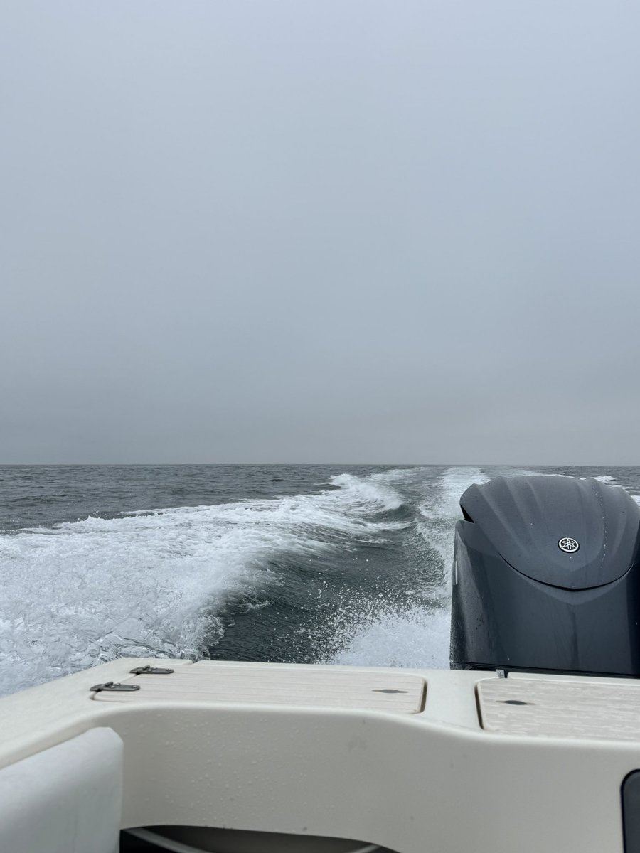 dmitriysjr's tweet photo. Good bite today out of SD https://t.co/U9J1jiEXsP