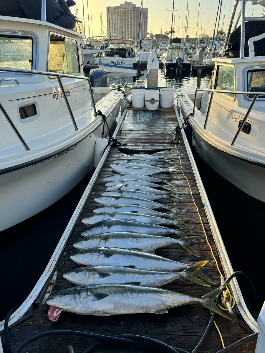 dmitriysjr's tweet photo. Good bite today out of SD https://t.co/U9J1jiEXsP