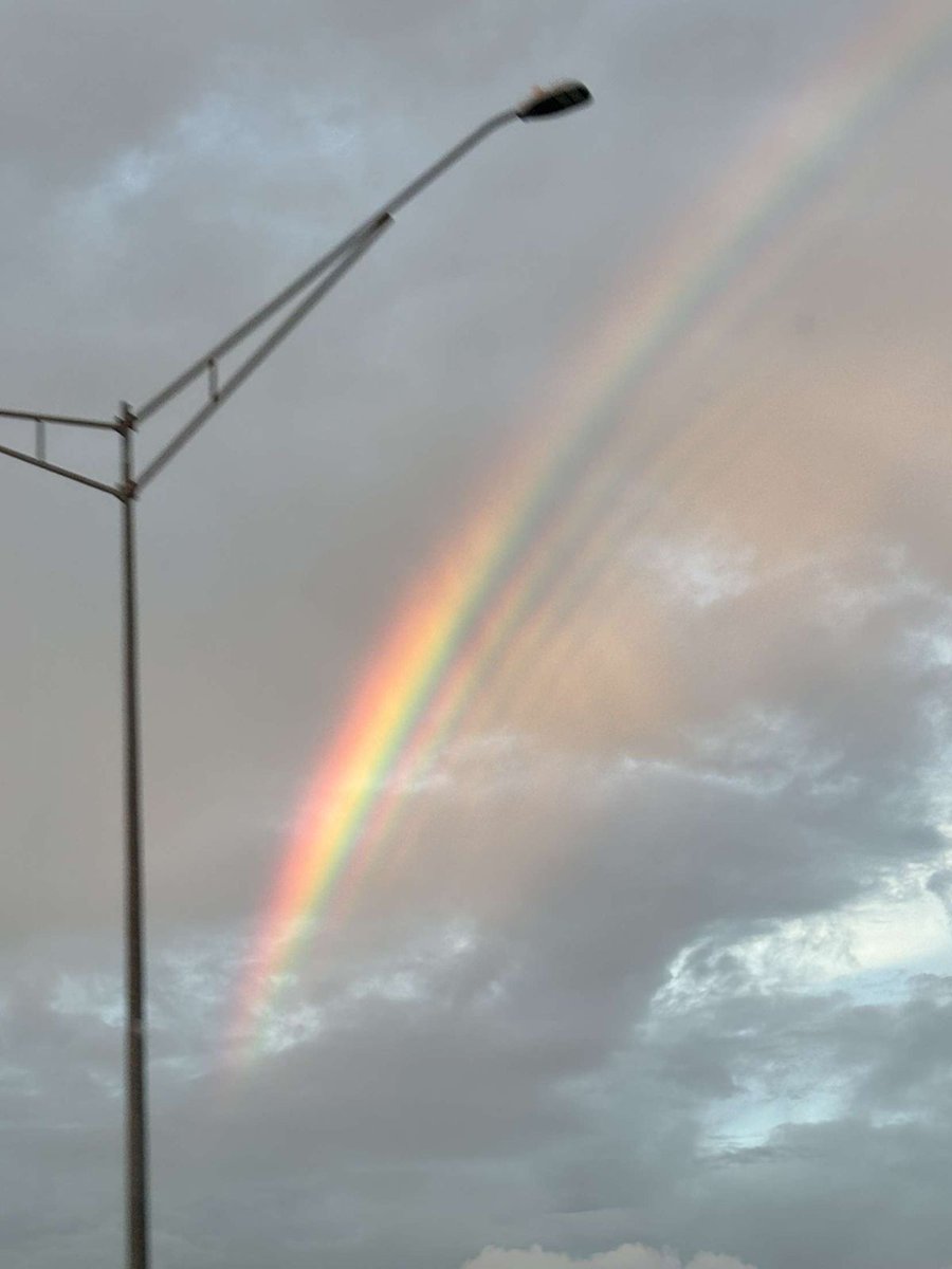 ₱€№$ @animating.bsky.social tweet media