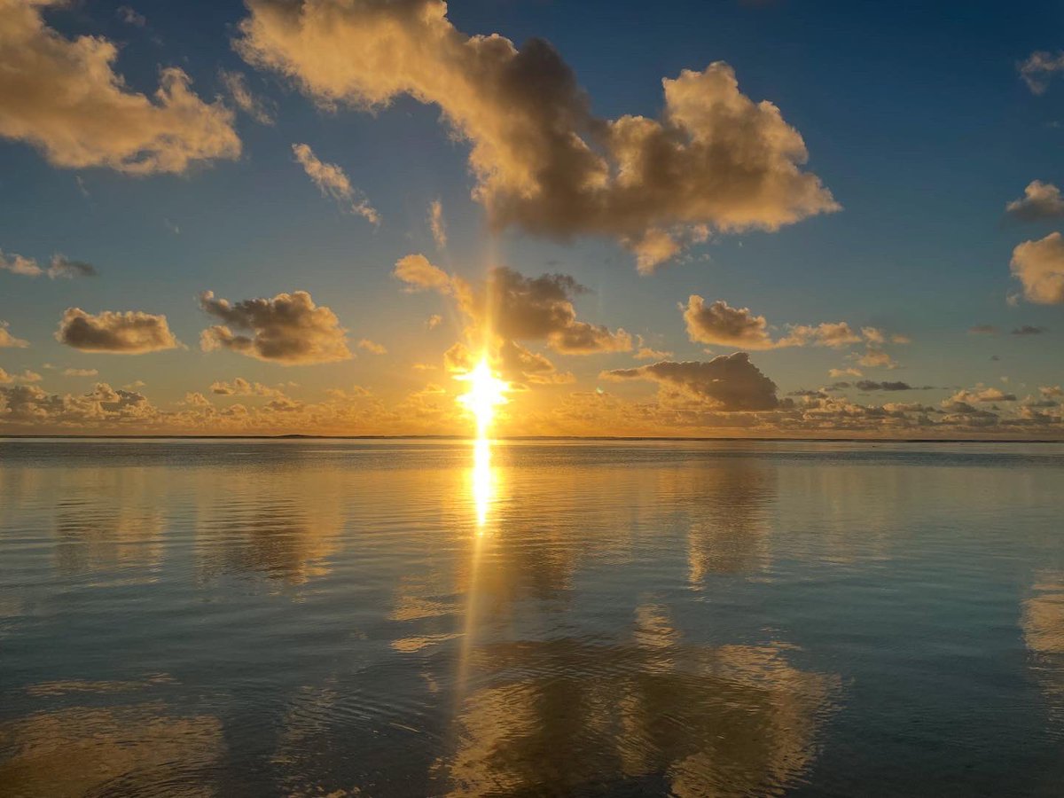 Mrs McCabe tweet media