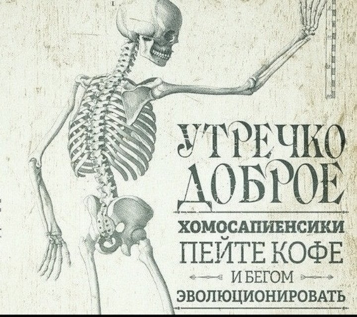 мутный омут tweet media