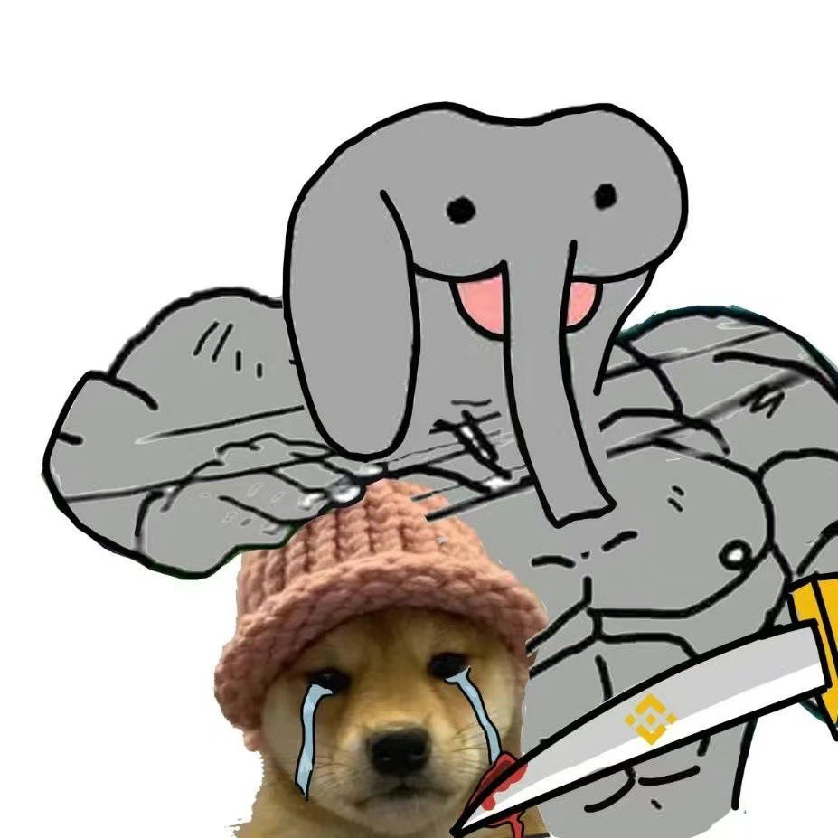pumpedelephant's tweet photo. @four_meme_ I hope you understand 
$WHY https://t.co/IPvvbnWpqg