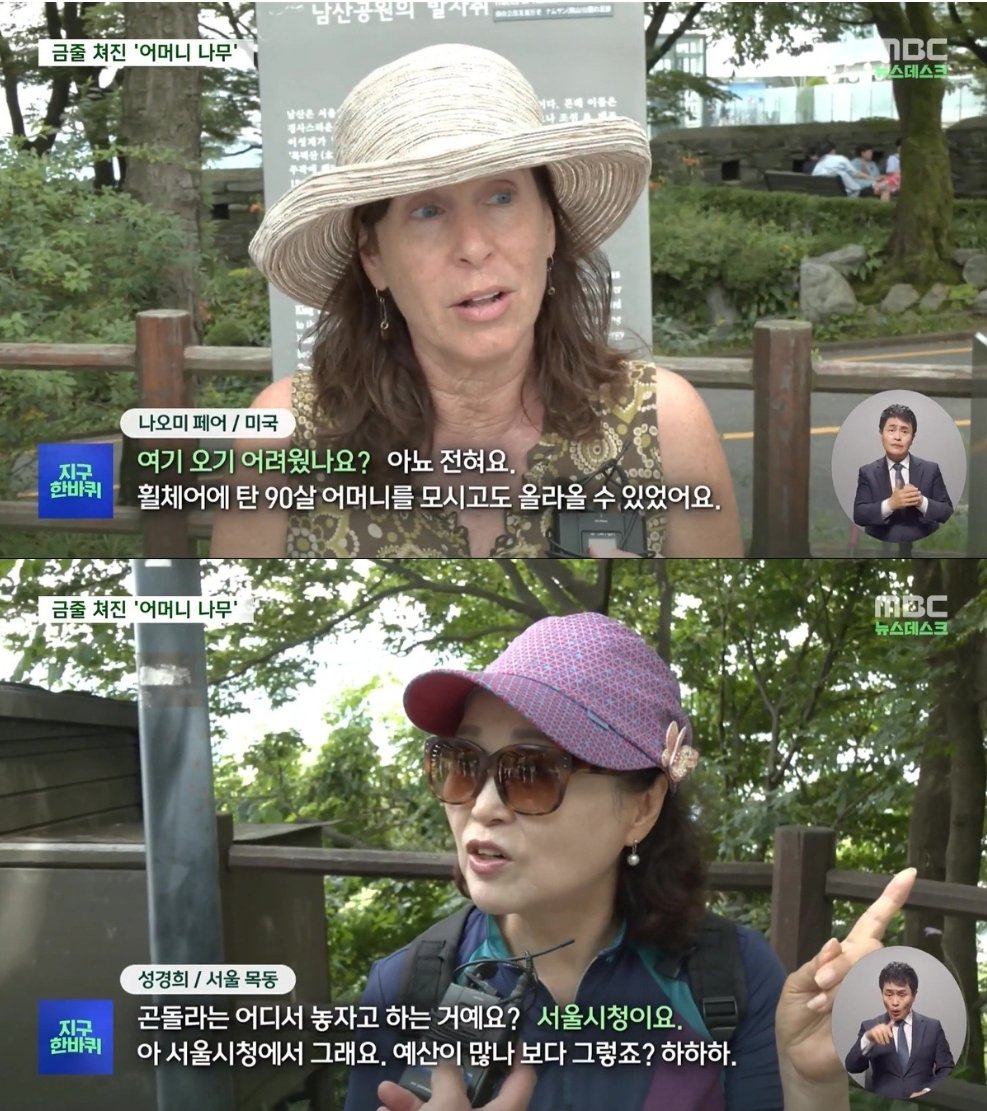 서울시에서 남산에 새 곤돌라를 만들기로 하면서 곤돌라 구간 내 수령이 100년되는 나무들이 잘릴 위기에 처함.
우드와이드웹, 어머니나무의 중요성이 대두되는 상황에서 시대에 역행하는 행정의 끝은 곤돌라 수익 일부를 생태복원에 쓰시겠다는 것으로 정점.
나무를 자르지 않는게 생태복원이다.