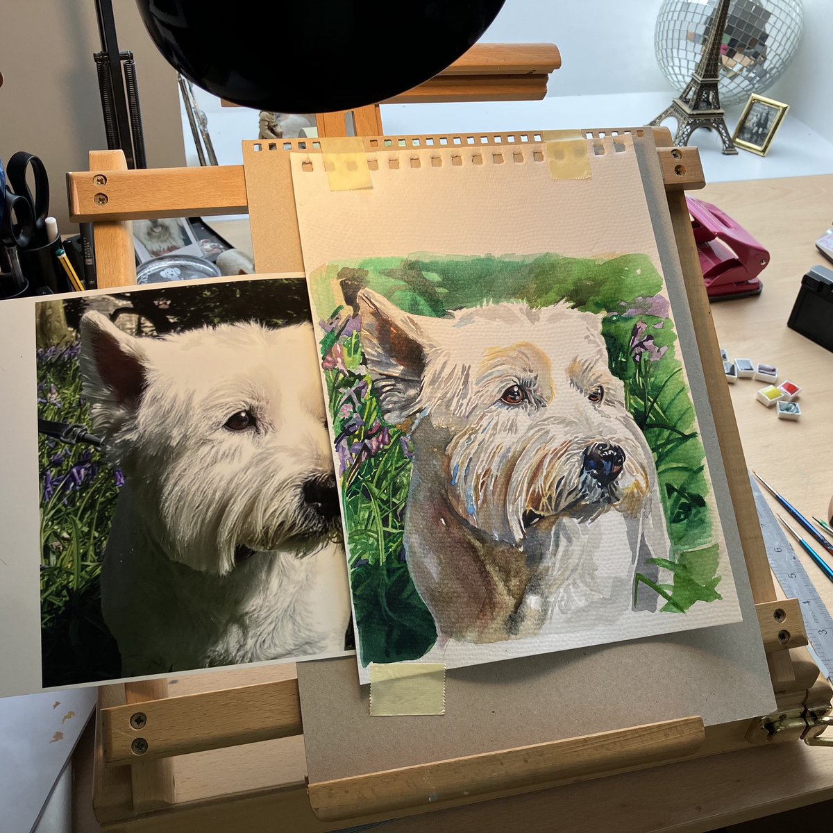 TheMabe's tweet photo. Really enjoying my latest watercolour commission!
#dogportrait #vivdykesart #petmemories #lovedogs #northumberlandartist #petportrait #dogart #specialmemories #theriversidestudio #westielove #westie 

https://t.co/5Lahwlf2Ho https://t.co/cFF307Wd1q