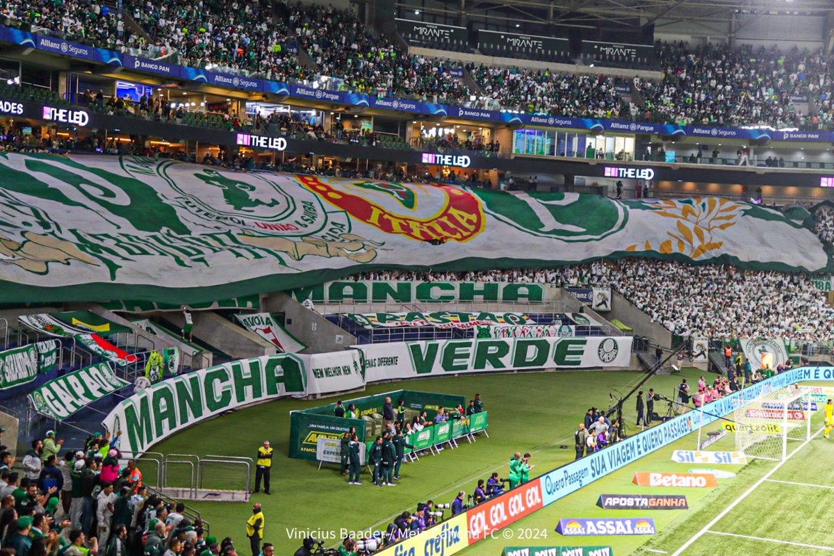 meiacanchafc tweet media