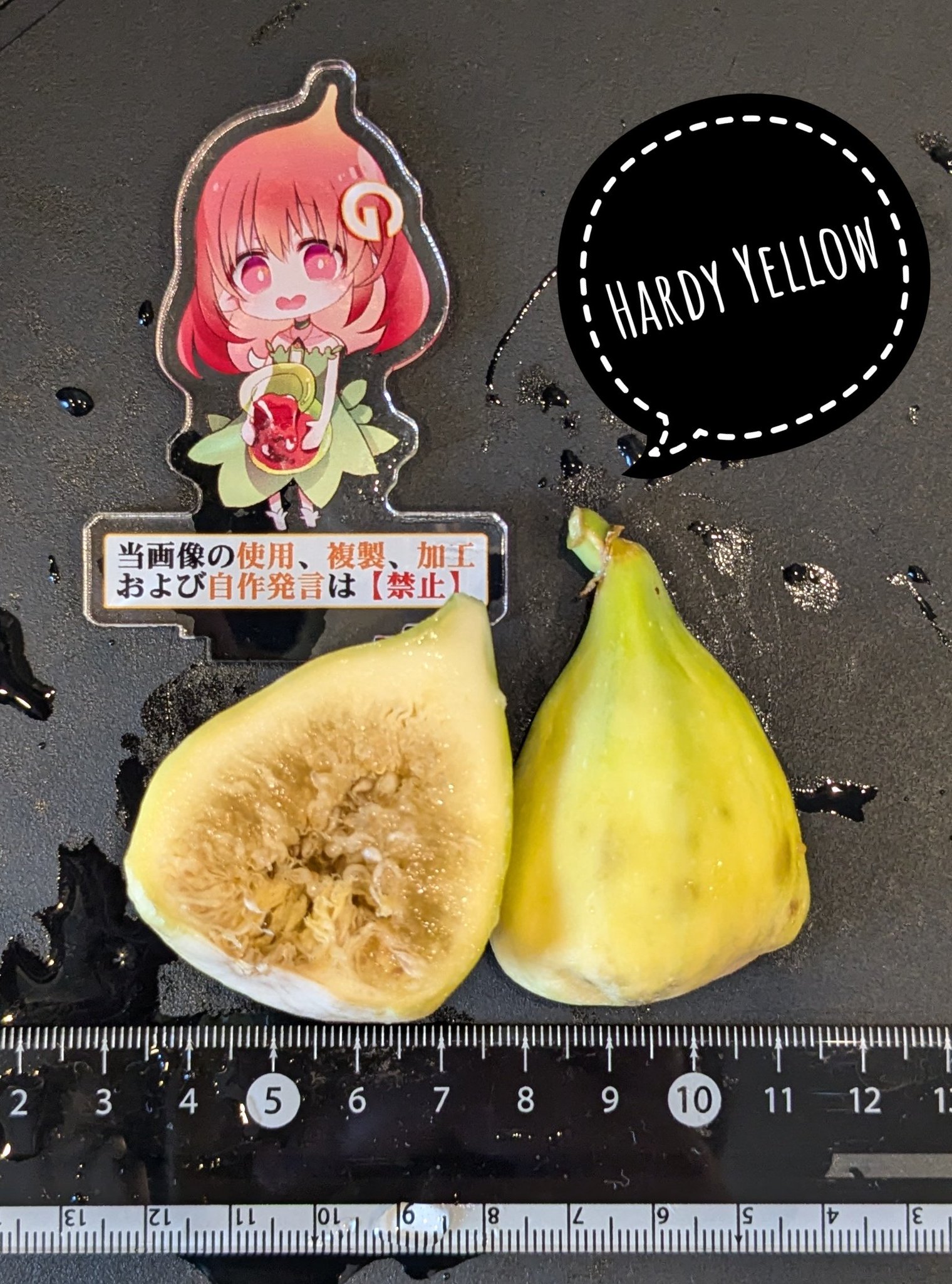 珍しい果物　ランバイ大苗　(黄色) 珍しい果物 ランバイ大苗 (黄色) （ラズベリー 苗 苗木 ファール