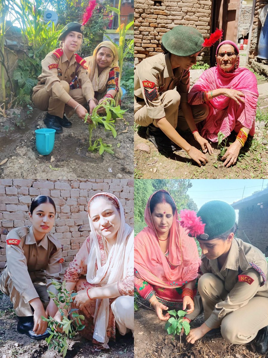 nccgdckish6340's tweet photo. TREE PLANTATION DRIVE BY NCC CADETS IN COLLEGE AND HOME UNDER 'EK PAD MAA KA NAM'
#profprithviraj#dgncc#jk&amp;ldte https://t.co/QvTaraVsVb
