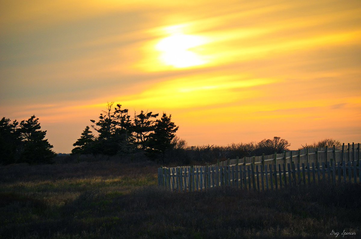 SpellCasterOne's tweet image. Photo of the day