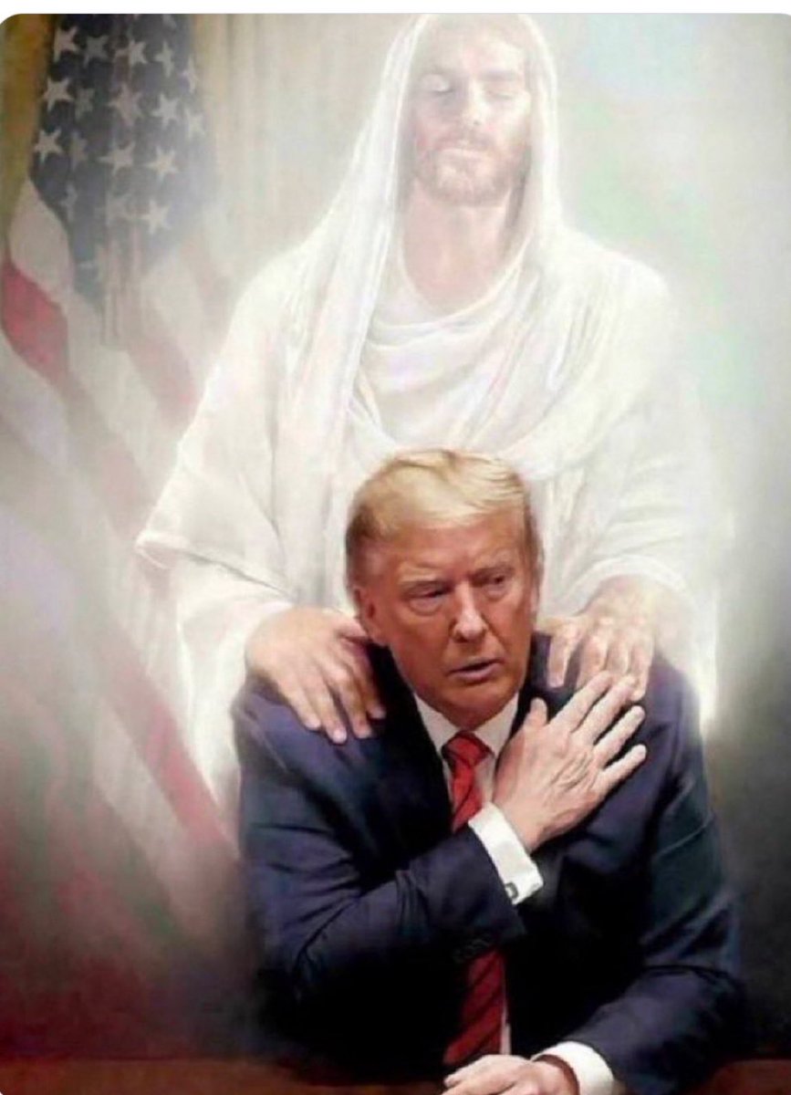 They are mad, aren’t they.  Barking, yelping insane.