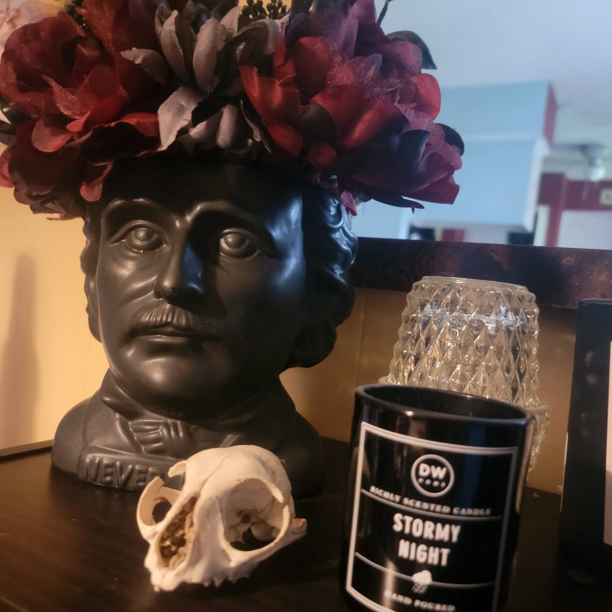 Just a fun little display 
#nevermore #EdgarAllenpoe #poe