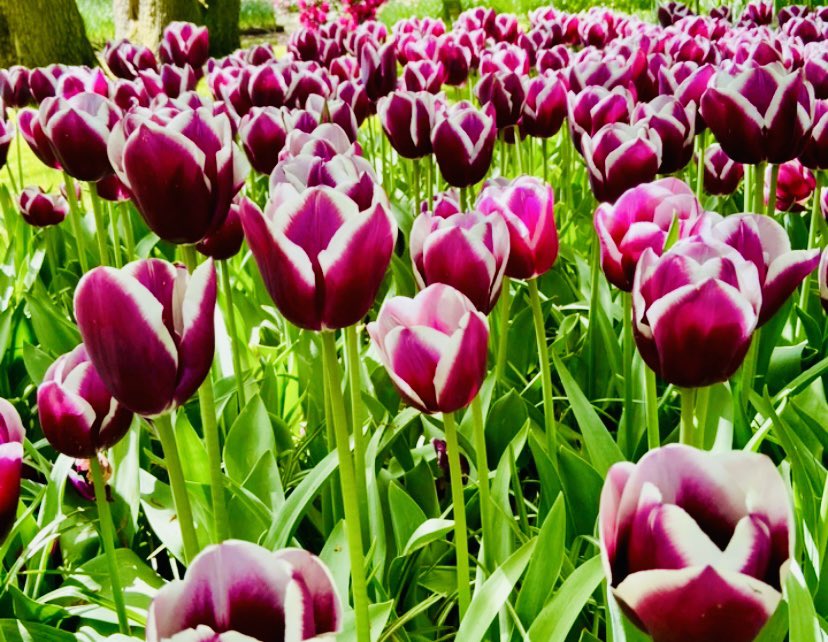 Make a little time for yourself
Appreciate and self reward
Talk to your heart
Listen to your body
Learn to love yourself
Before loving others
Be grateful if you are still able
To read this today
Spread kindness and not hate
It’s never wrong if it’s too late