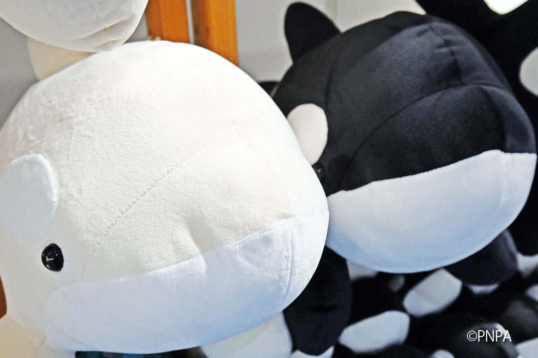 名古屋港水族館 on X: 名古屋港水族館 on X: