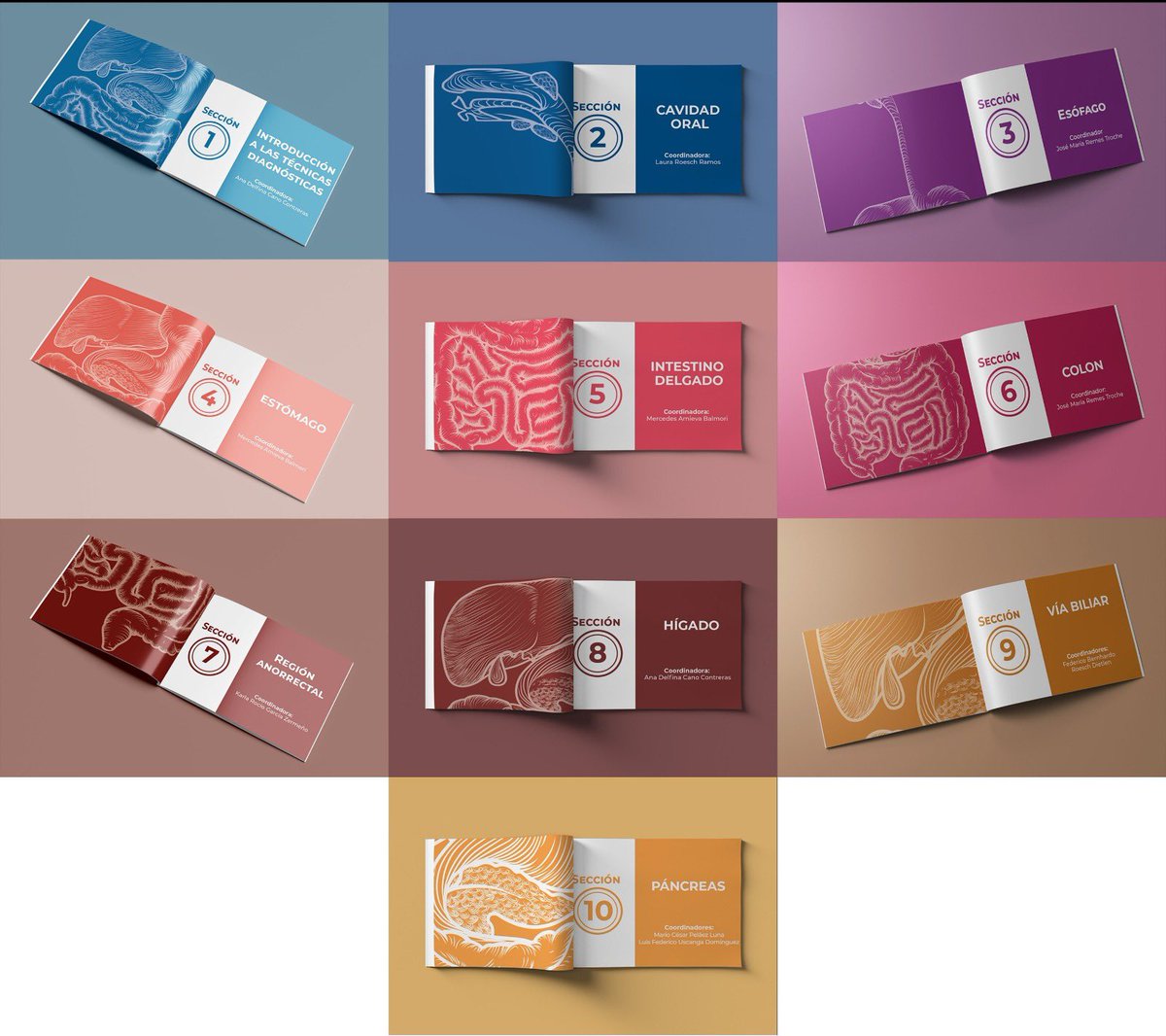 Editorial ASECOM MX Asesores en Comunicación tweet media