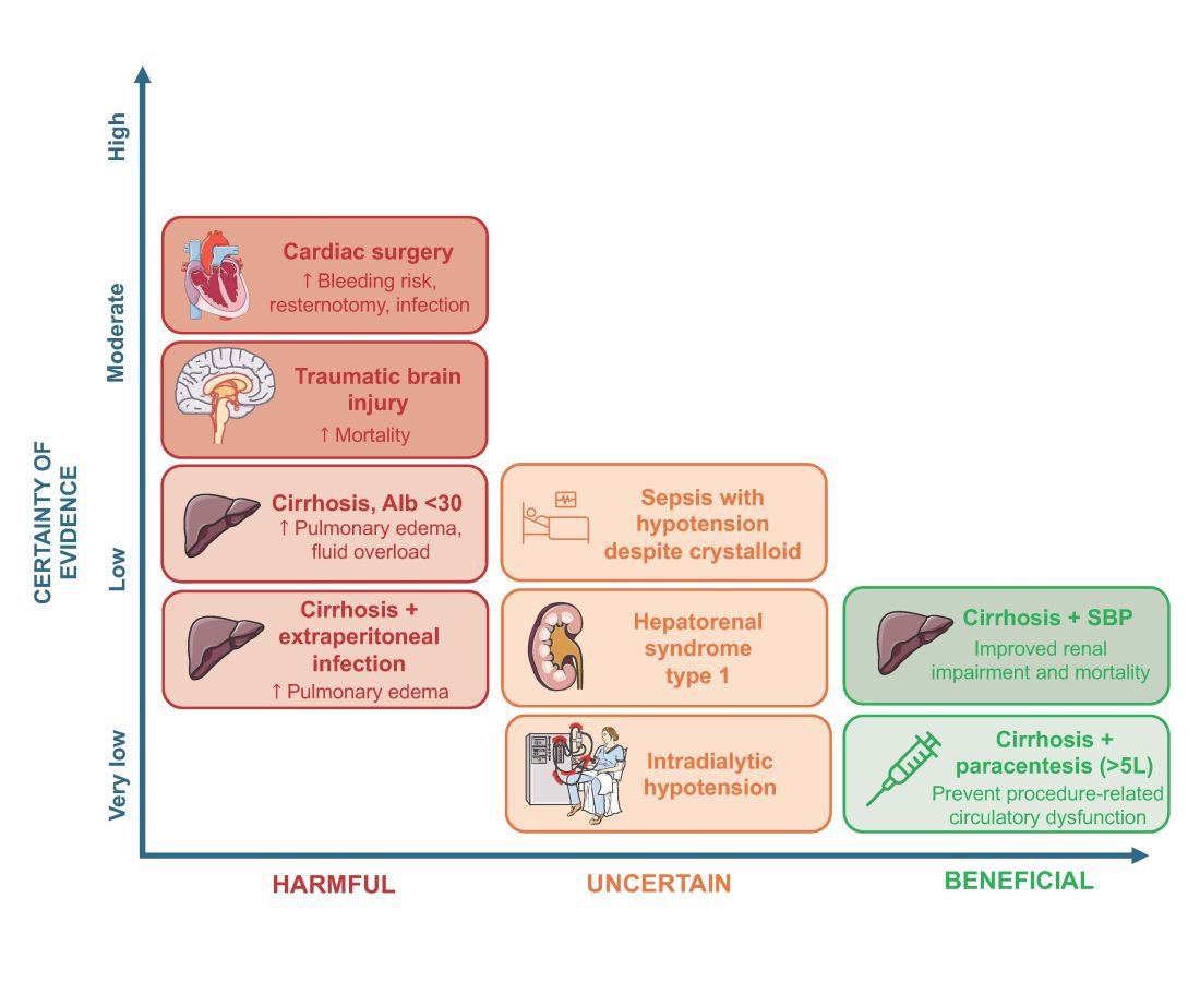 Potenciales indicaciones benéficas, inciertas y dañinas del uso de albúmina intravenosa. 💉🫀🫘

EN:

mdedge.com/chestphysician…