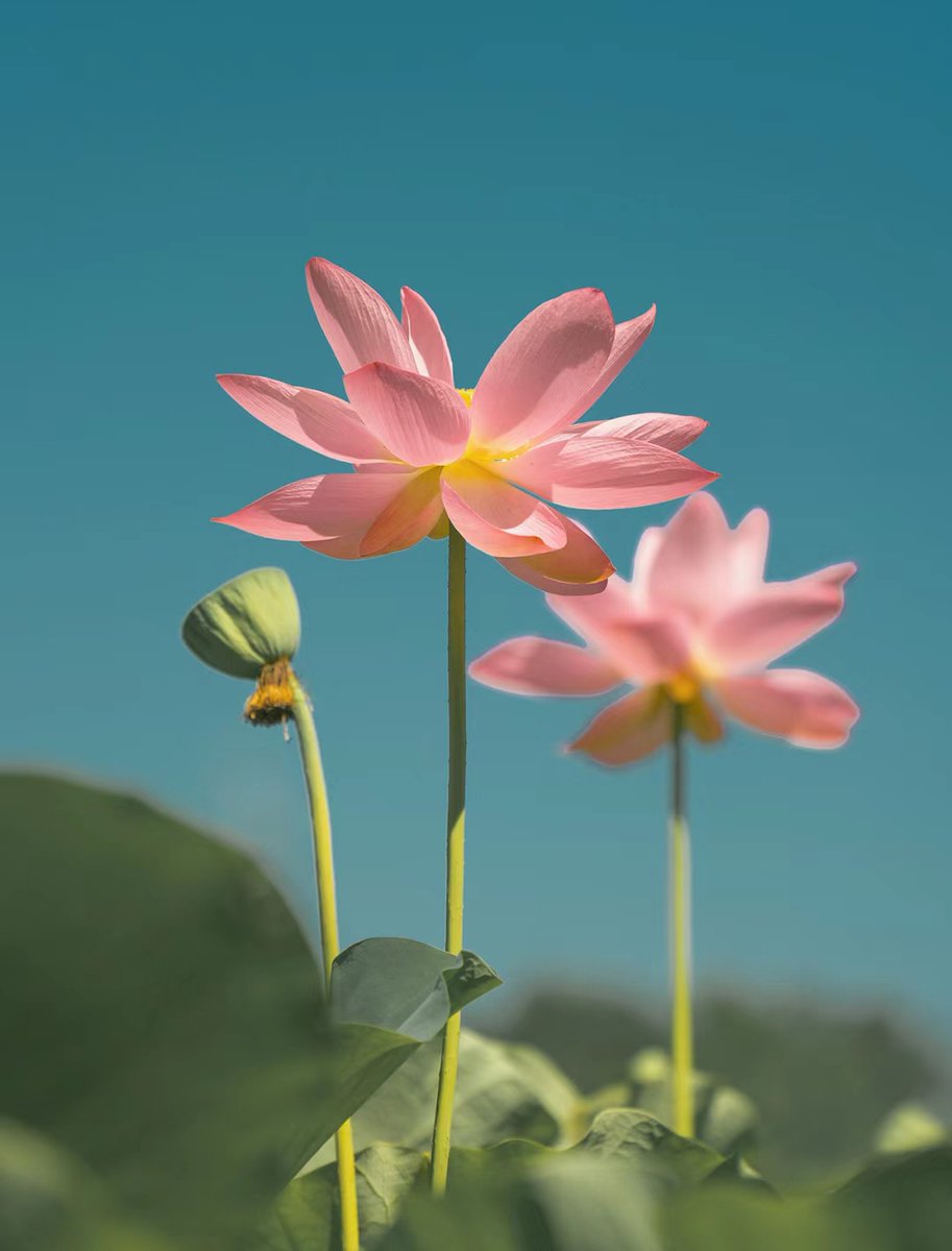 Every morning is as much to look forward to as you.