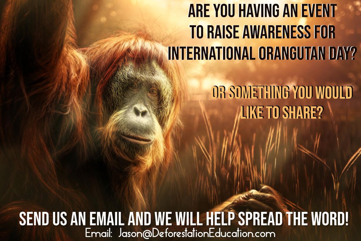 Are you doing anything for International #OrangutanDay? WE WANT TO KNOW!  Email us and we will spread the word! Let’s raise awareness for #Orangutans !