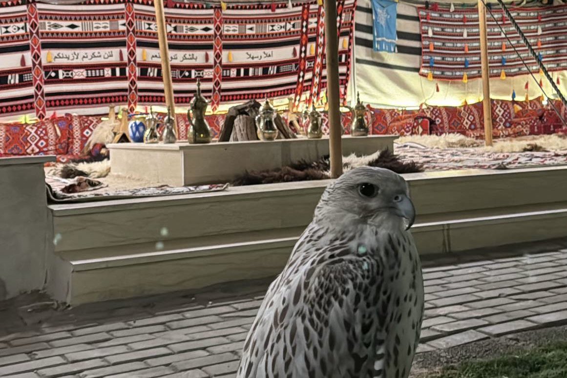 ياليتني راعي طير ومفتون بحب طيري
ولا لي بحب … الهنوف ايت وسيله