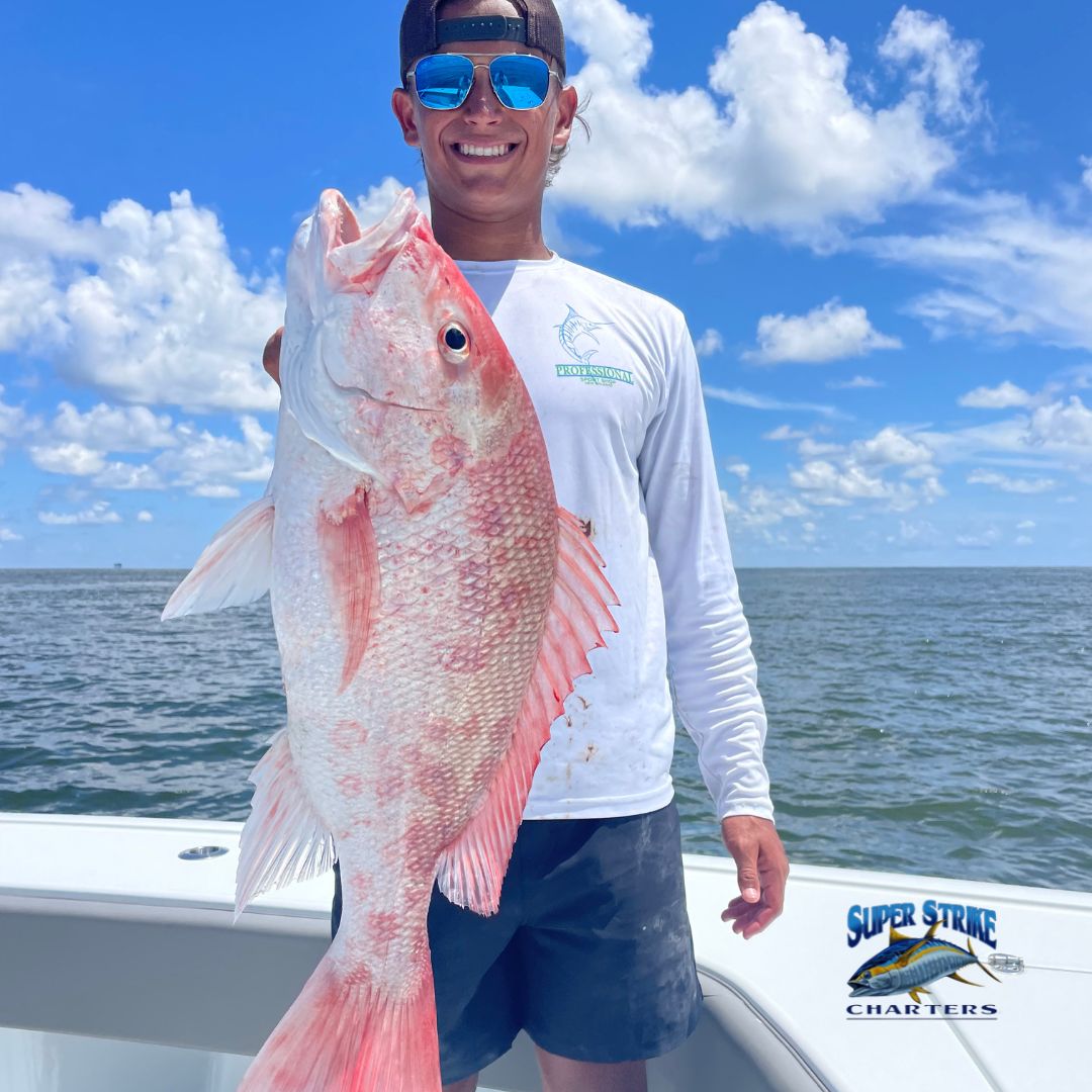 DPMSSC's tweet photo. Catching red snapper with Captain Bob and his crew today!
#tuna
#offshore
#fishing
#superstrike
#superstrikefishingcharter
#bigfishenergy
#tunatime
#offshorefishing
#saltwaterfishing https://t.co/bvHTv71sg5