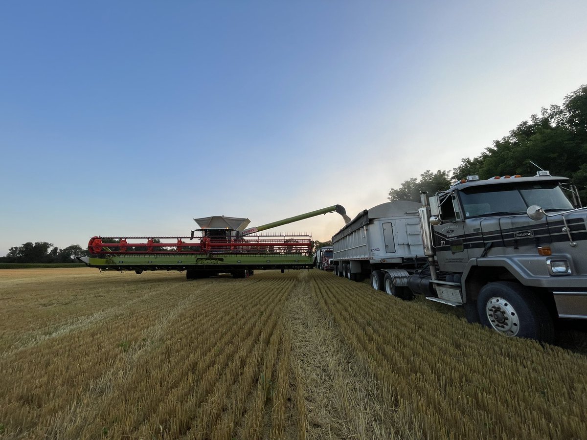 Christine tweet media