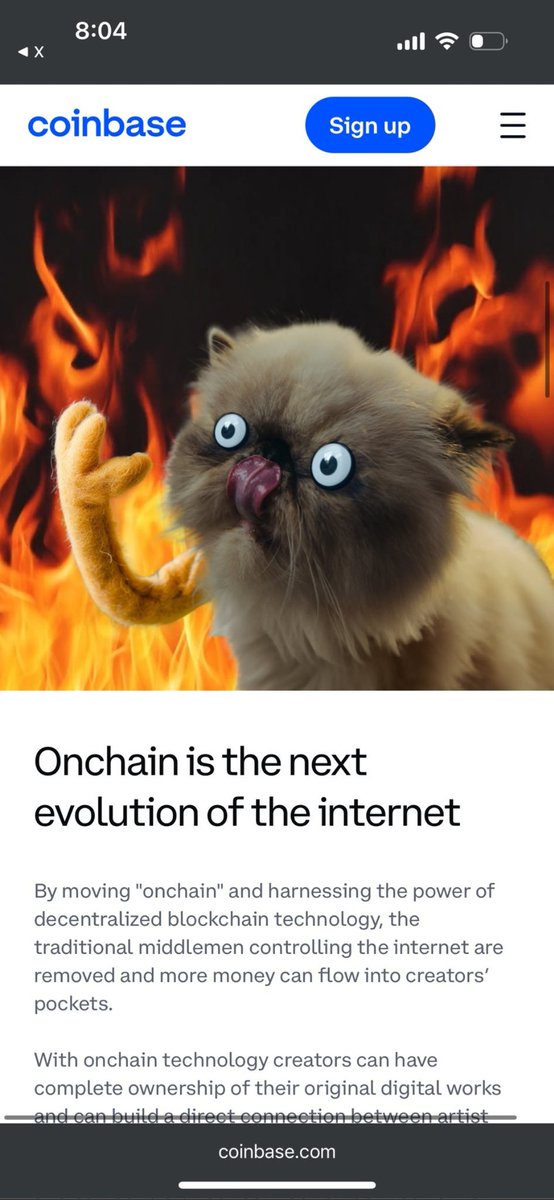 𝔊𝔯𝔞𝔳𝔞𝔫𝔬 tweet media