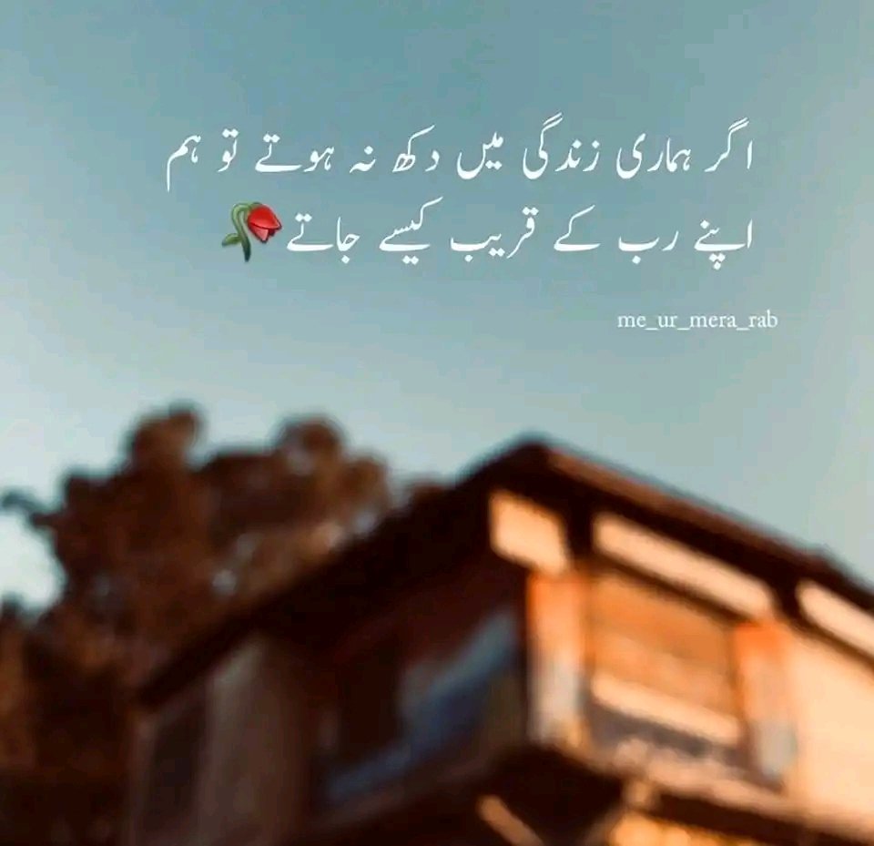 aliwritespk's tweet photo. اسلام علیکم ورحمتہ اللّٰه وبرکاتہ...❤️⁦❣️⁩

💖صبح  بخیر زندگی🙏⁦❣️⁩
💛اس دعا کے ساتھ  🙏⁦❣️⁩
💙ﺍﮮ الله اے ہمارے رب🙏⁦❣️⁩

ہم بھٹکــــے ہوؤں ﮐﻮ ﺭﺍﮦ ﭘﺮ ﻟــــــے ﺁئیـــــــے🙏🙏⁦❣️⁩

ﺍﮮ الله ہمیں ﺑﻬﯽ ﺍﻥ ﻟﻮﮔﻮﮞ ﻣﯿﮟ ﺷﺎﻣﻞ ﻓﺮﻣﺎ ﺟﻨﻬﯿﮟ ﺗﻮ ھﺪﺍﯾﺖ ﻓﺮﻣﺎﺗﺎ ہـــــــــے..🙏🙏⁦❣️⁩

               ⁦❣️⁩⁦❣️⁩اے اللہ⁦❣️⁩⁦❣️⁩

ہمیں ایسی زندگی گزارنـــــــــےکی توفیق عطا کر جس زندگی ســـــــے تو راضی ھو جائے🙏⁦❣️⁩

اللہ عزوجل" ہمیں رسول اللہ ﷺ کی اطاعت کرنـــــــے کی توفیق عطا فرما🤲⁦❣️⁩

یا ذوالجلال والاکرام یااللہ🙏⁦❣️⁩
ہماری دعائیں اپنی شان کــــــــے مطابق قبول فرما🤲🤲

❤بِرَحْمَتِكَ يَآ أَرْحَمَ الرَّحِمِينَ آمِينْ يارب العالمــــین🤲

#ALIWRITES❤️‍🩹