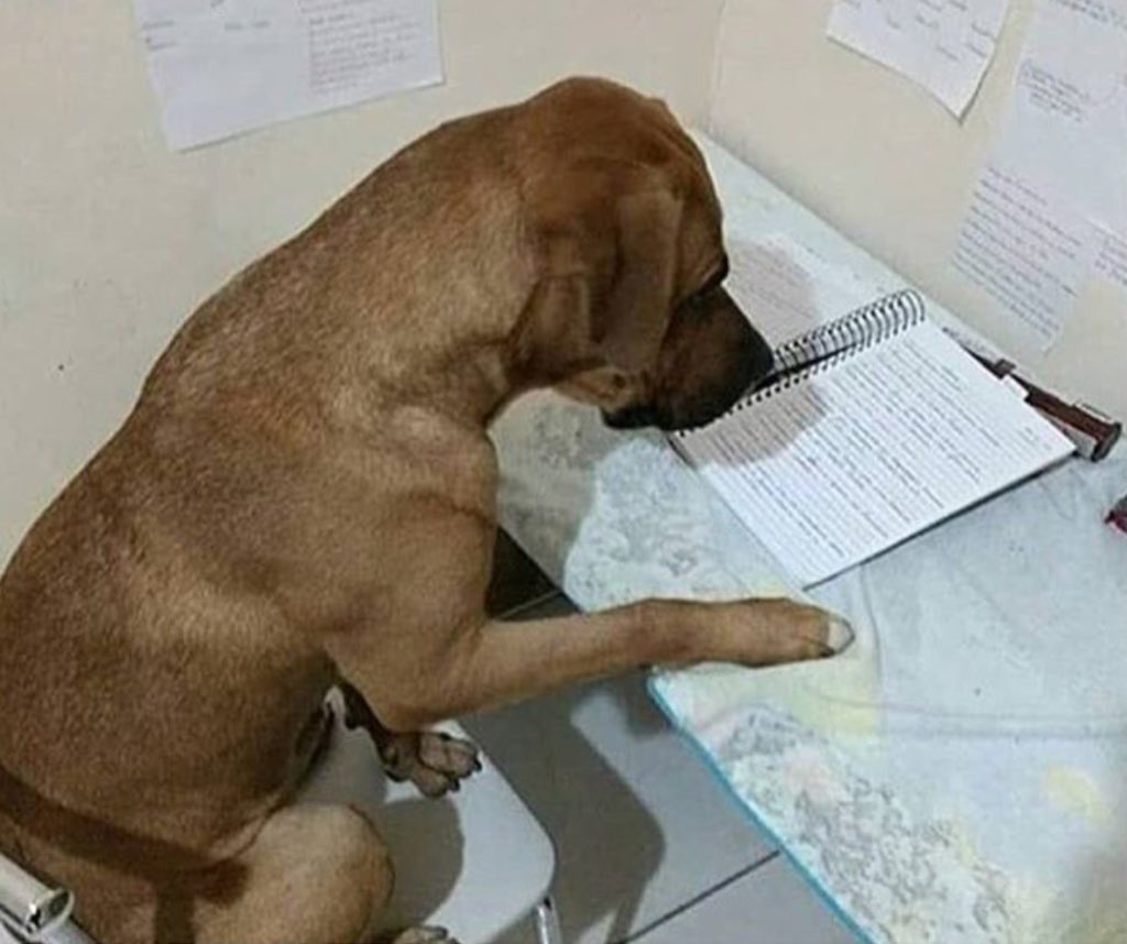 memes_una's tweet photo. Otra noche loca de sábado https://t.co/UZ5RI2EAFF
