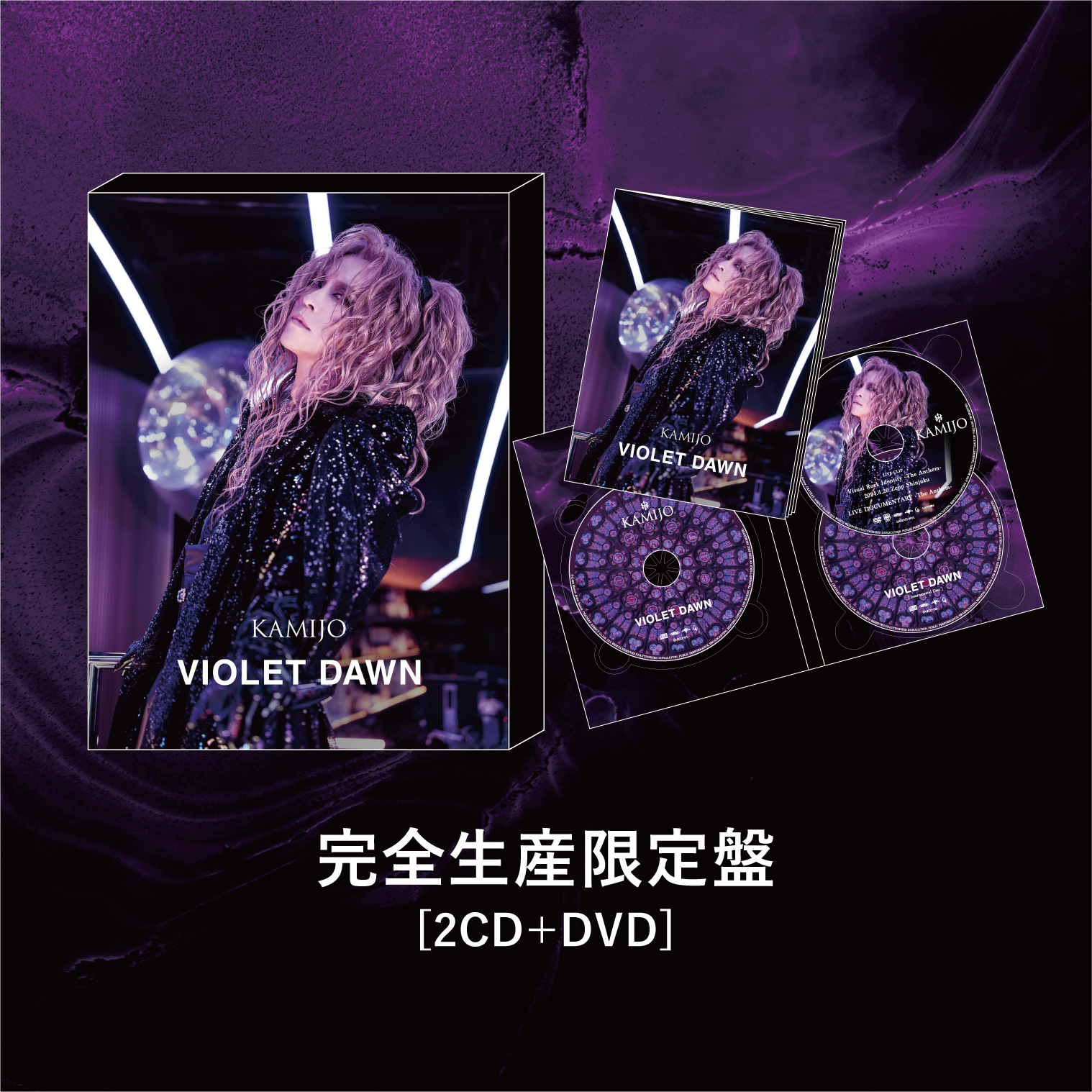 ミュージック KAMIJO VIOLET DAWN LIVE Solo Angle DVD Kamijo