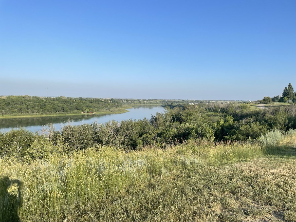 Lisa Ford tweet media