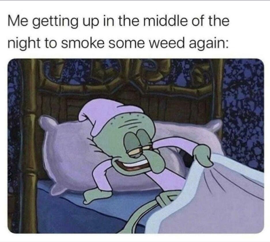 weedlings73's tweet photo. https://t.co/DswN1nRWJn