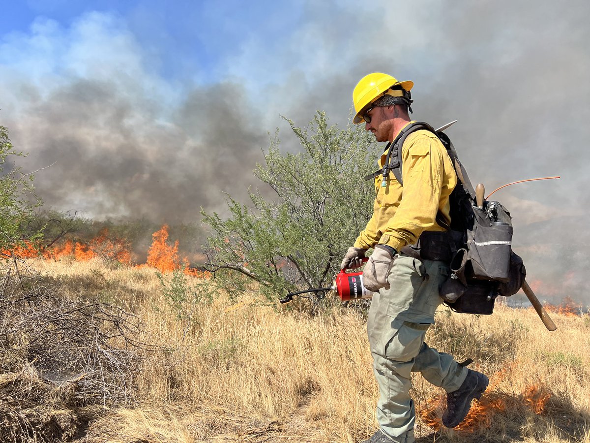 azstateforestry's tweet photo. ๐ฅ #RomeroFire Update 5:30pm: Acreage at 4,200 and growing as firing operations continue. Crews are working quickly ahead of a storm cell moving into the area with forecasted wind gusts up to 50mph. A LAT and 2 SEATs have made multiple retardant drops to stop the advancing fireโs edge through coordination with Aravaipa IHC guidance on the ground.
๐ 13 miles SW of Kearny
https://t.co/jWJ145i4gl
#AZFire #AZForestry #PinalCounty
๐ท Yuma Crew conducting firing ops along Freeman Rd. Retardant drop along fence line during structure protection at Hayden Ranch.