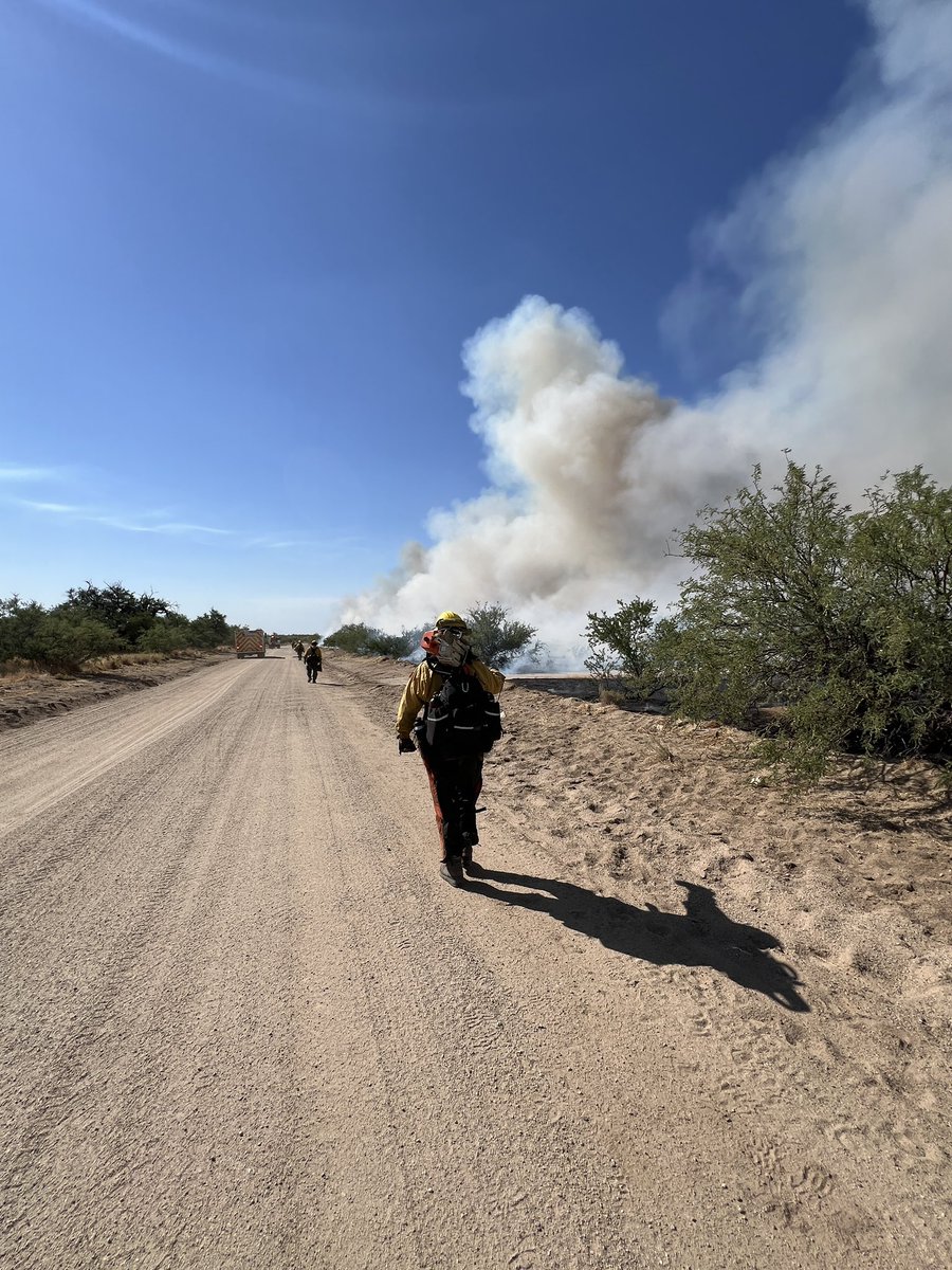 azstateforestry's tweet photo. ๐ฅ #RomeroFire Update 5:30pm: Acreage at 4,200 and growing as firing operations continue. Crews are working quickly ahead of a storm cell moving into the area with forecasted wind gusts up to 50mph. A LAT and 2 SEATs have made multiple retardant drops to stop the advancing fireโs edge through coordination with Aravaipa IHC guidance on the ground.
๐ 13 miles SW of Kearny
https://t.co/jWJ145i4gl
#AZFire #AZForestry #PinalCounty
๐ท Yuma Crew conducting firing ops along Freeman Rd. Retardant drop along fence line during structure protection at Hayden Ranch.