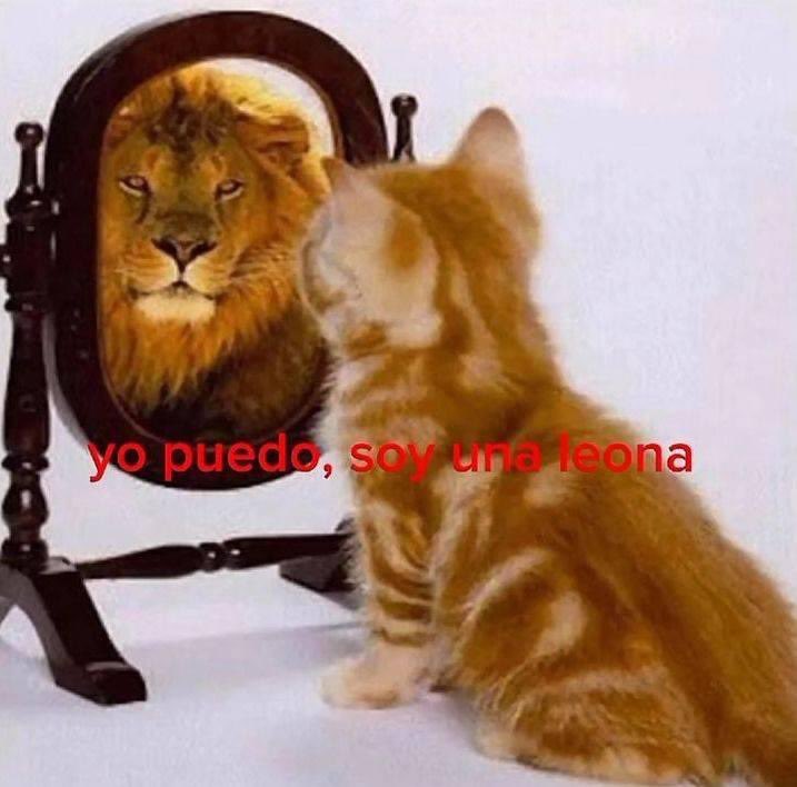 rxnata_'s tweet photo. cuando minimizo algo feo q m hicieron y la psicóloga m devuelve la razón y me dice la verdad es que se comportó bastante como el orto y salgo así d la sesión https://t.co/DPKNx587P4