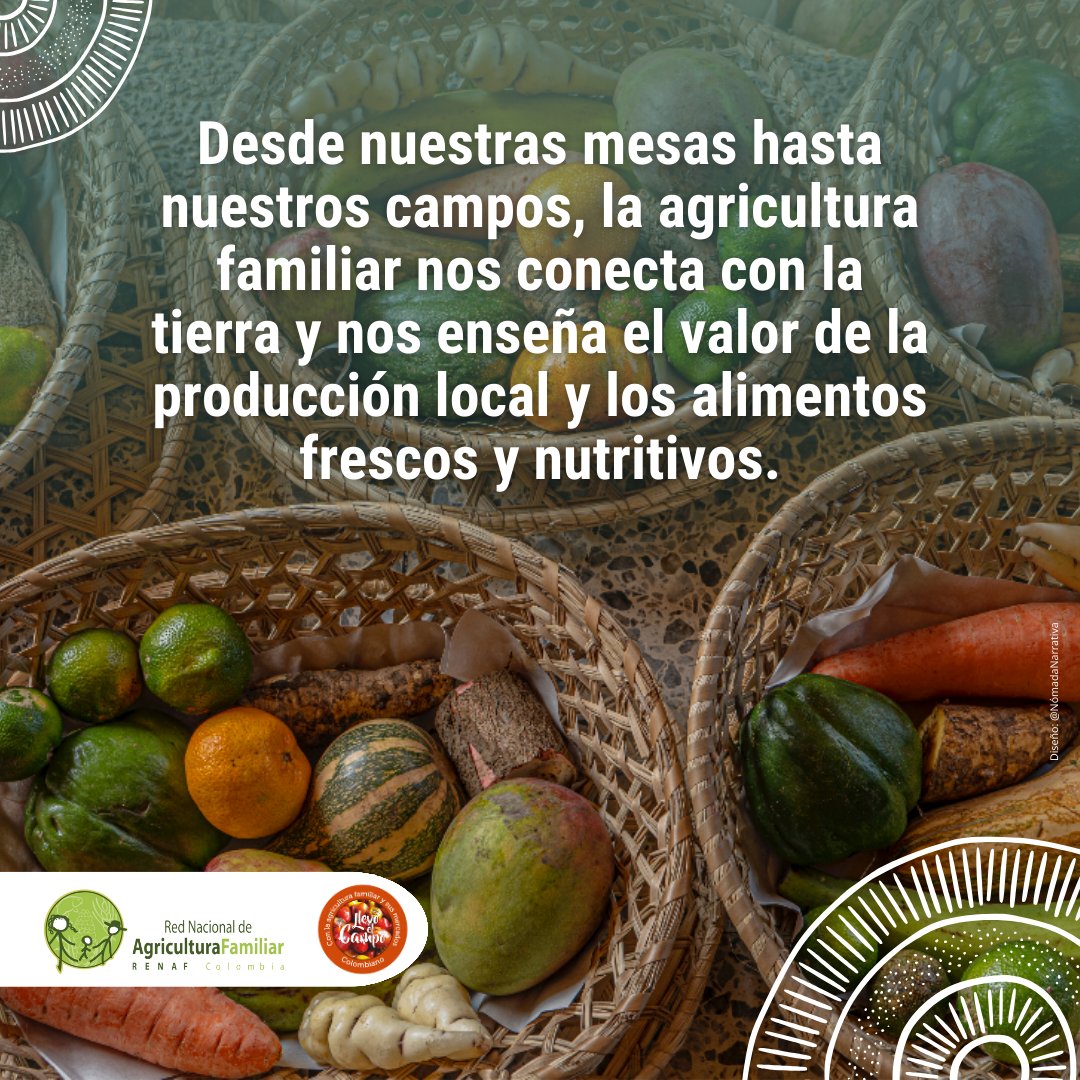 AIAFcolombia's tweet photo. #AgriculturaFamiliar #ConexiónConLaTierra #ProducciónLocal #AlimentosFrescos #NutriciónSaludable #Sostenibilidad #Biodiversidad #EconomíaRural #AlimentaciónConsciente #HéroesDelCampo #SemillasBienComún #RedSemillasLibres #ACFEC https://t.co/ictFfHjnY2