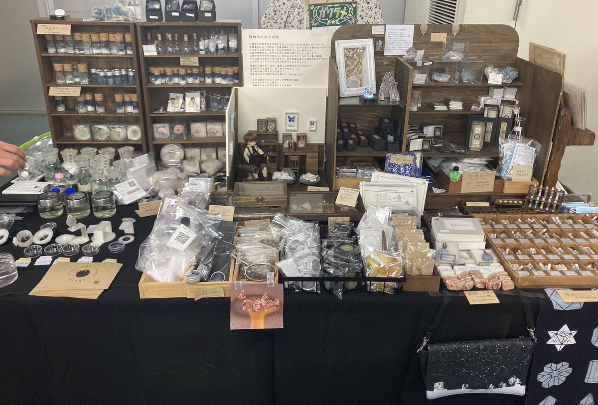 BlackSheep_CC's tweet photo. 本日も博物ふぇすてぃばるに出展しています！
#博物ふぇすてぃばる https://t.co/VVq5AHuQ4o