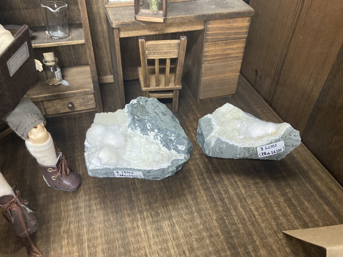 BlackSheep_CC's tweet photo. 本日も博物ふぇすてぃばるに出展しています！
#博物ふぇすてぃばる https://t.co/VVq5AHuQ4o