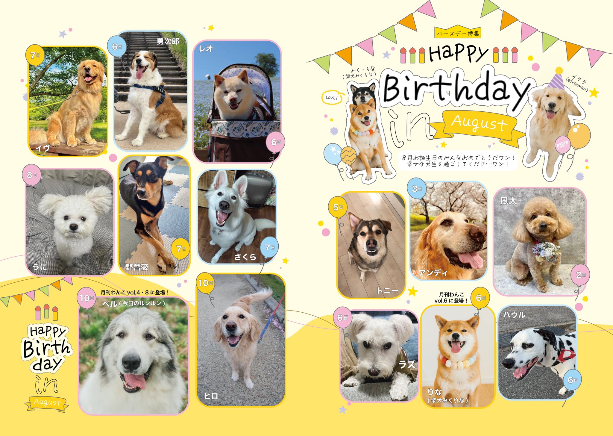 オーダーページ2/15 チョコレートハウス・ポメ レアパネルハンドメイド