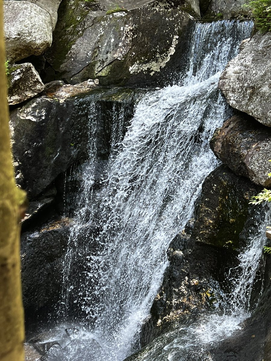 cpsully's tweet image. 