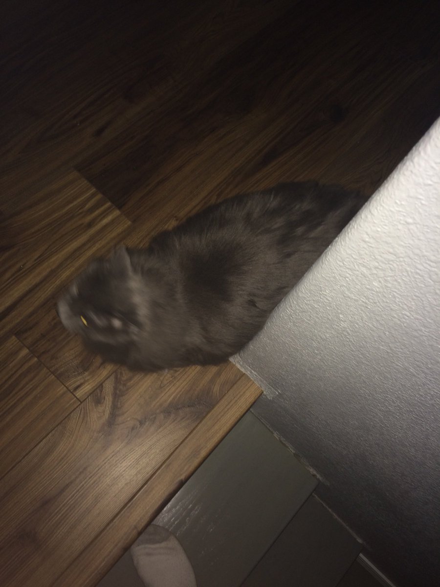 LuBuSSB's tweet photo. Rest in peace my little homie 😔 https://t.co/U0Aiux5Zpp