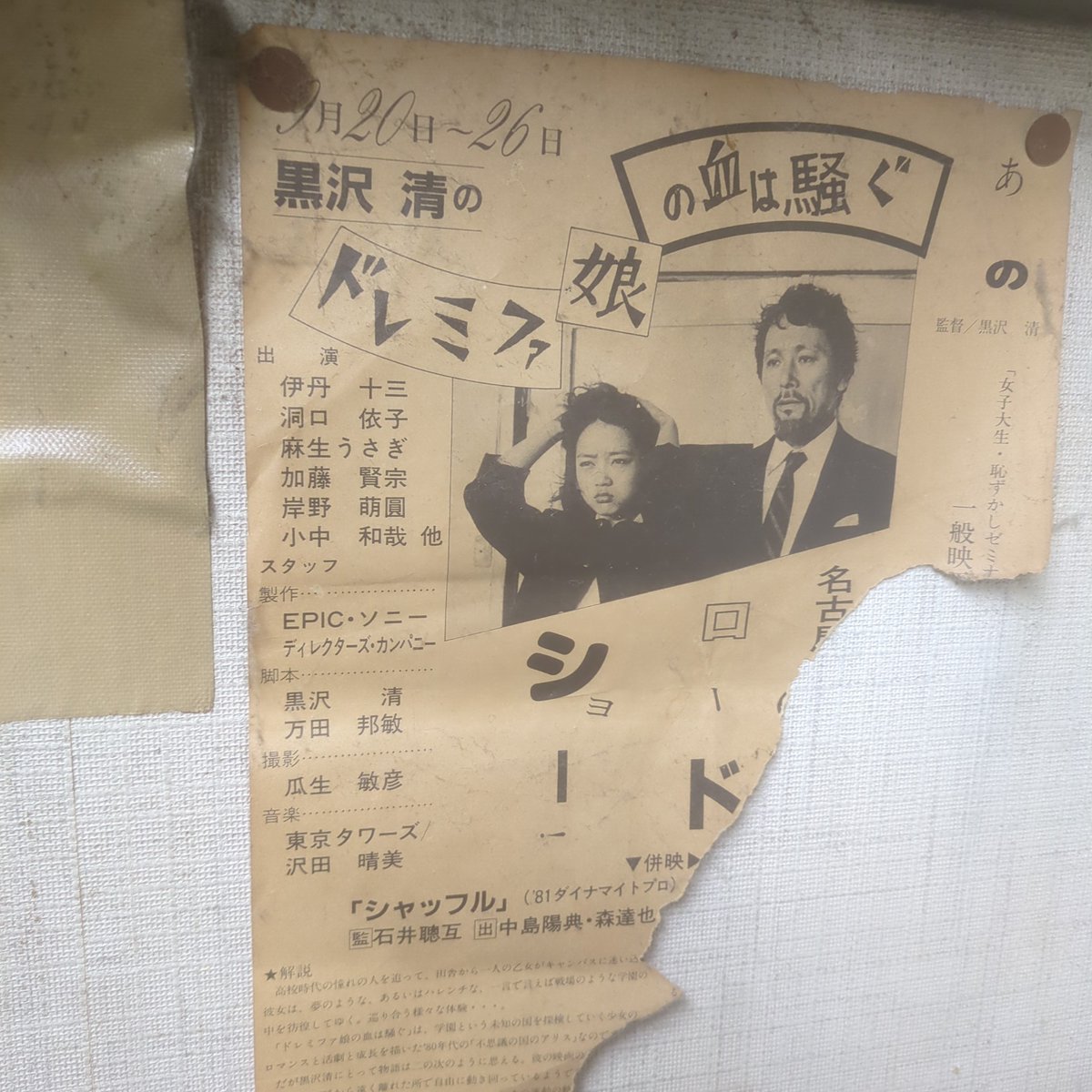 ドレミファ娘の血は騒ぐ 一般鑑賞券&学生鑑賞券 ドレミファ娘の血は騒ぐ 一般鑑賞券&学生鑑賞券