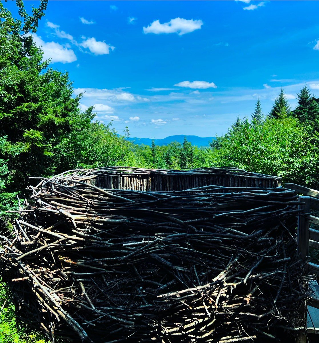 cpsully's tweet image. 