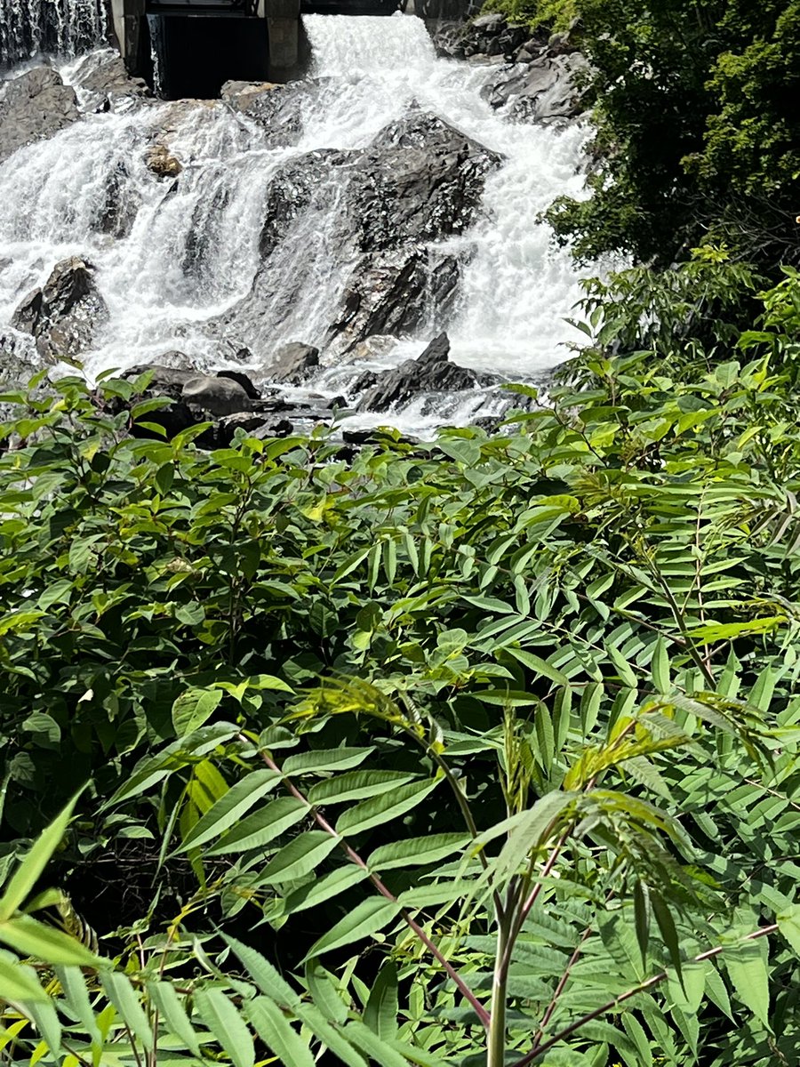 cpsully's tweet image. 