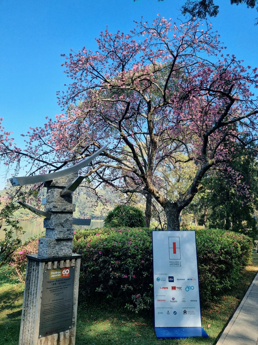 _daphinyy's tweet photo. Um espaço da cultura Japonesa dentro do Ibirapuera, simplesmente mágico 🩷 https://t.co/Tl3A50KRsR