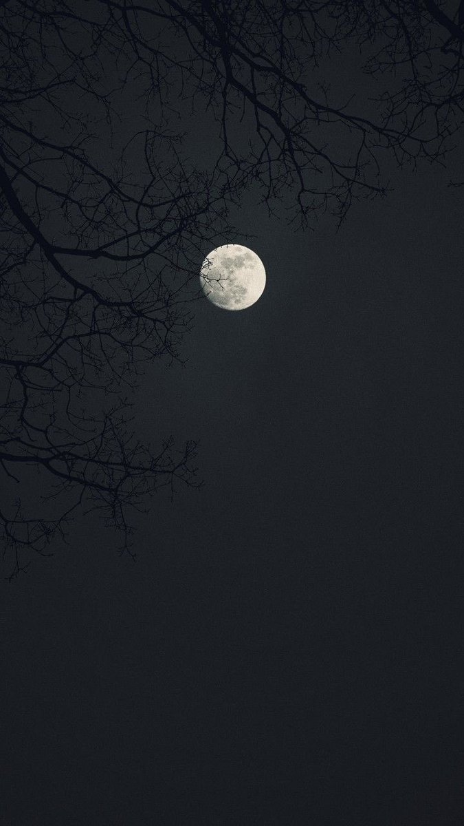 JeeizyO's tweet photo. La luna llena de hoy en #Colombia lo es todo! 🤩 #Luna https://t.co/aNkJbExMWz