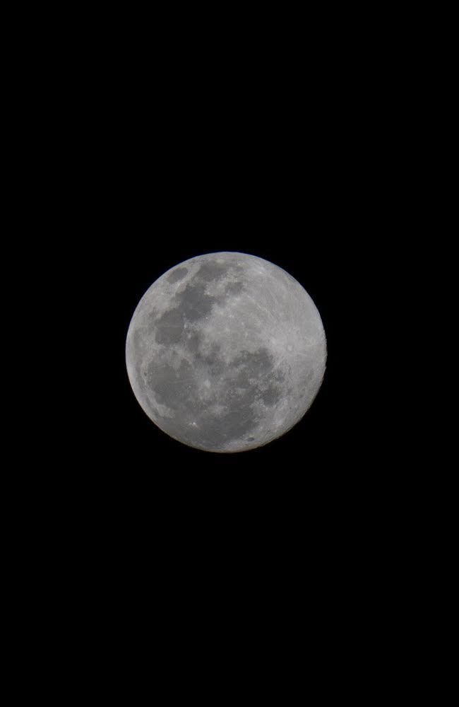 JeeizyO's tweet photo. La luna llena de hoy en #Colombia lo es todo! 🤩 #Luna https://t.co/aNkJbExMWz