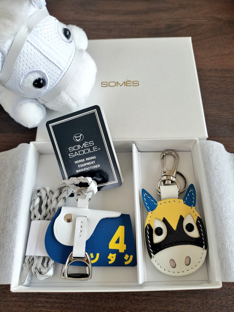 hozhoz_k's tweet photo. 注文したのをすっかり忘れて…😅
今日届きました🦄ヽ(´エ`)ノ高級品✨
次走のカルパの応援これ着けて!?🤍
#SOMES ✖ #ソダシ https://t.co/sxGsTzEi3z